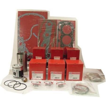 Kit de révision moteur VAPORMATIC VPB9099