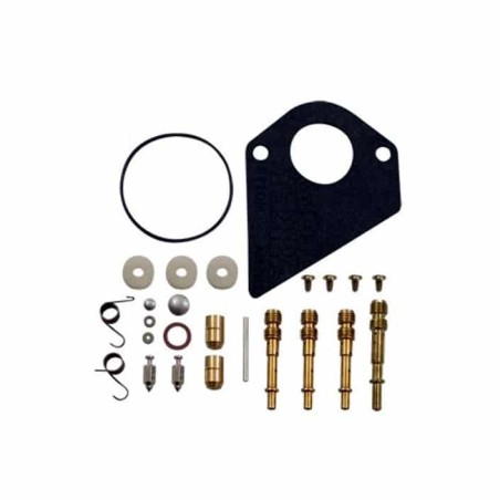 Kit de réparation carburateur BRIGGS ET STRATTON 495799 - 497535 - 494880 - 494384