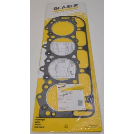 Joint GLASER DANA 81844763N