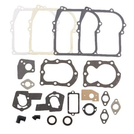 Kit BRIGGS ET STRATTON 495605