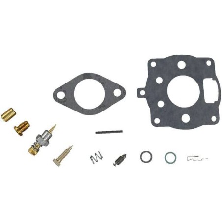 Kit BRIGGS ET STRATTON 492024