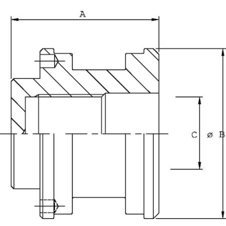 Piston UNIVERSEL DC2905004VM