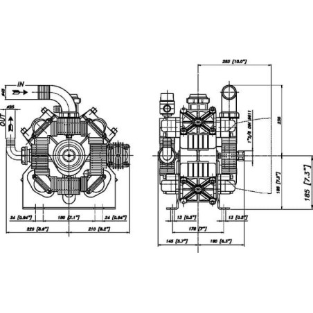 Pompe BERTOLINI 289220973VD