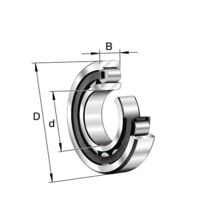 Roulement à rouleaux cylindriques 45x100x25mm INA/FFAG NU309ETVP2