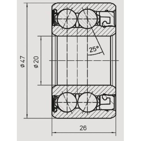 Roulement NSK 3204BRSRWDRB26TNG