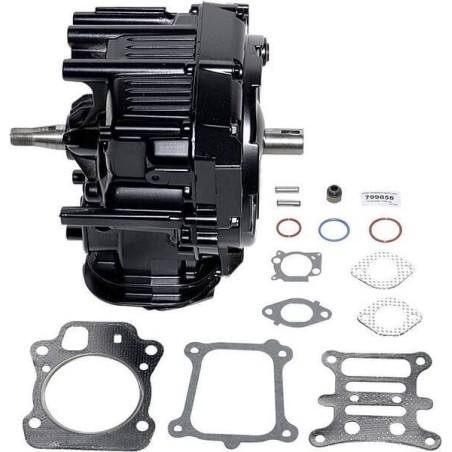 Shortblock BRIGGS ET STRATTON 799856