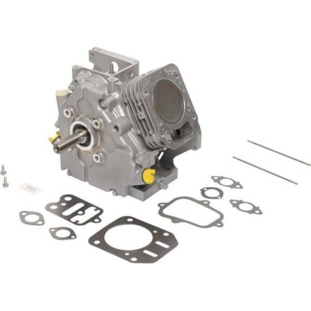 Shortblock modèle 15 BRIGGS ET STRATTON 795433A