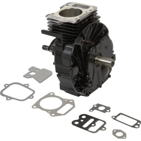 Shortblock BRIGGS ET STRATTON 692749