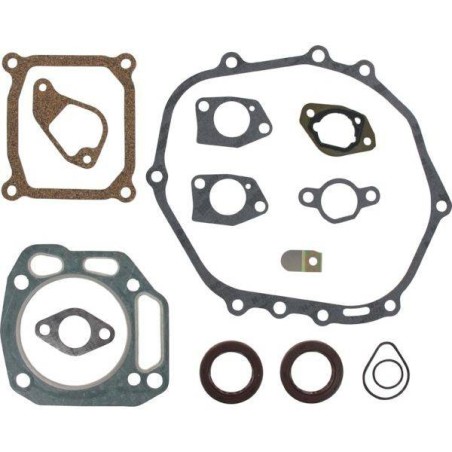 Kit joints moteur CASTELGARDEN - GGP 118550438/0 - 1185504380