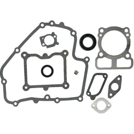 Kit de joints BRIGGS ET STRATTON 793623