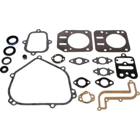 Kit de joints BRIGGS ET STRATTON 791797