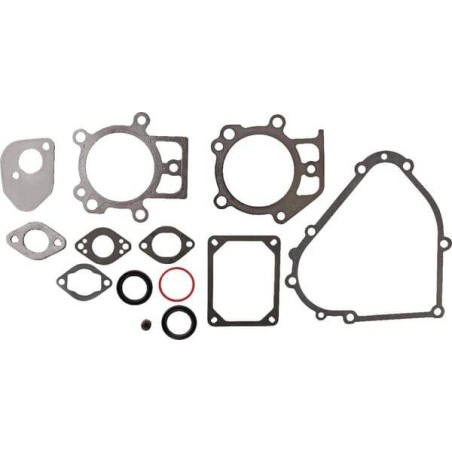 Kit de joints BRIGGS ET STRATTON 695438