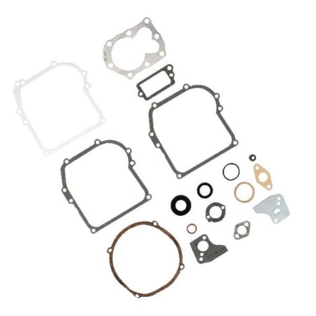 Kit de joint moteur BRIGGS ET STRATTON 795971