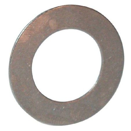 Disque de palier SKF WS81106