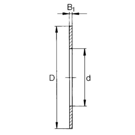 Disque de palier SKF WS81106