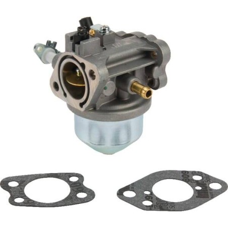 Carburateur BRIGGS ET STRATTON 847049