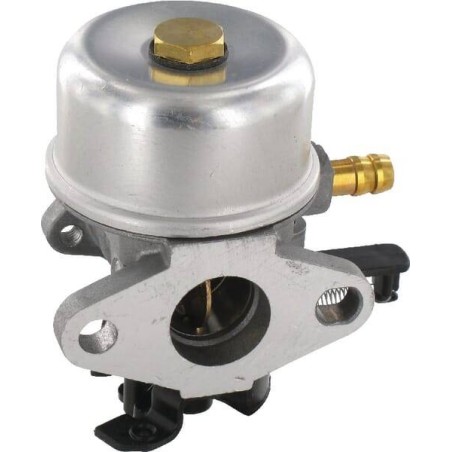 Carburateur BRIGGS ET STRATTON 799226