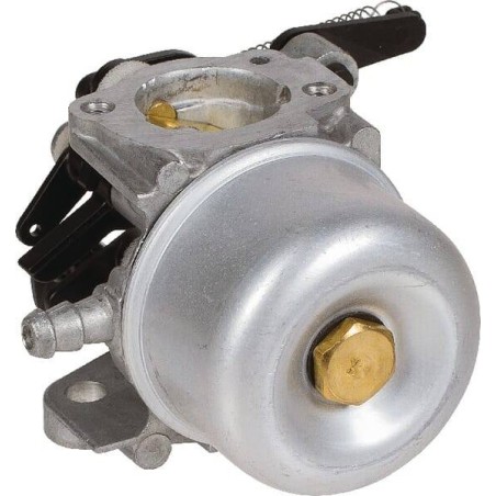 Carburateur BRIGGS ET STRATTON 796608