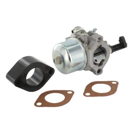 Carburateur BRIGGS ET STRATTON 715783