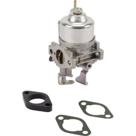 Carburateur BRIGGS ET STRATTON 715175