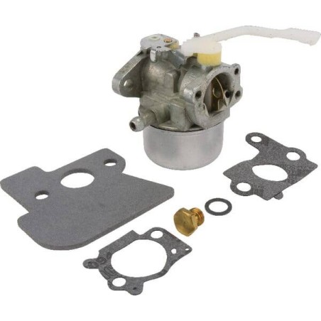 Carburateur BRIGGS ET STRATTON 694203