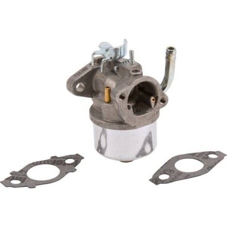 Carburateur BRIGGS ET STRATTON 593357