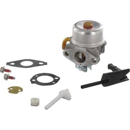 Carburateur BRIGGS ET STRATTON 591299