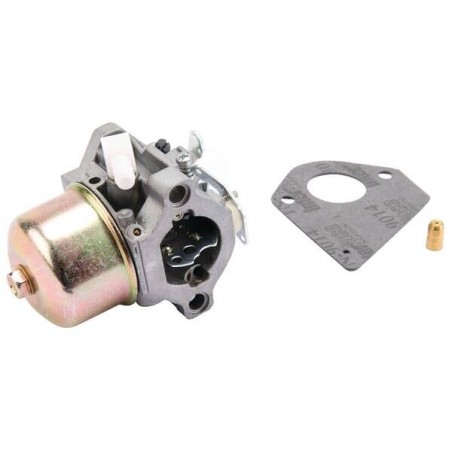 Carburateur BRIGGS ET STRATTON 495782