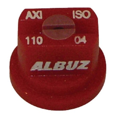 Buse ALBUZ AXI11004