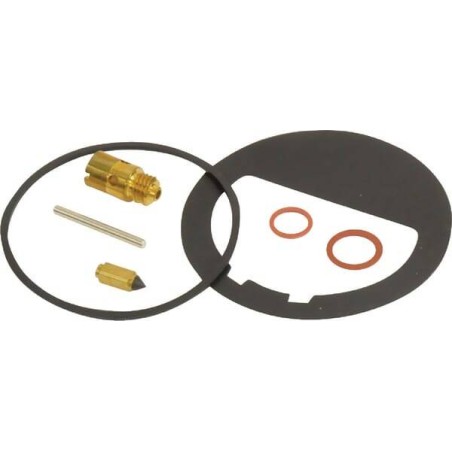 Kit carburateur GOPART FGP430092