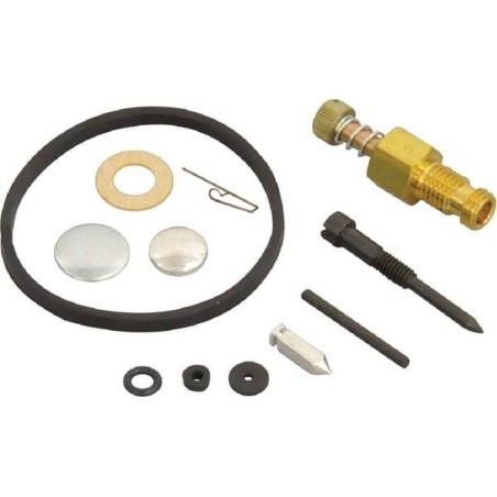 Kit de réparation de carburateur GOPART FGP430101